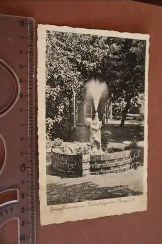 tolle alte Karte  Springbrunnen im Bahnhofsgarten Burg b.M.  1937