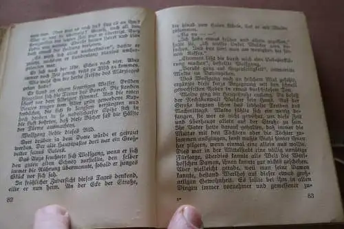 altes Buch  Wikinger-Bücher - Boy-Ed  Aus einer Wiege 1915