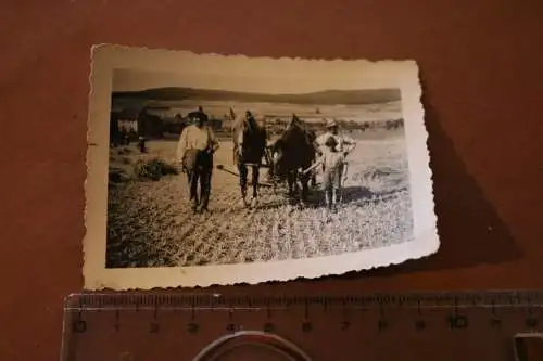 tolles altes Foto -  Getreideernte - drei Generationen auf dem Feld 