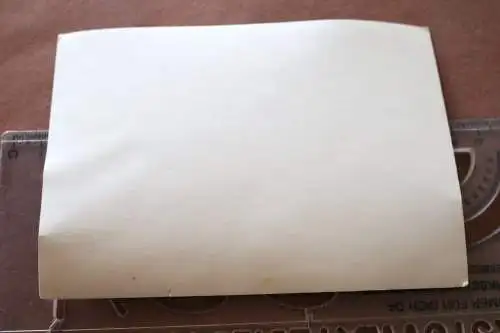 altes Foto - Portrait eines Offiziers - Bandspange 