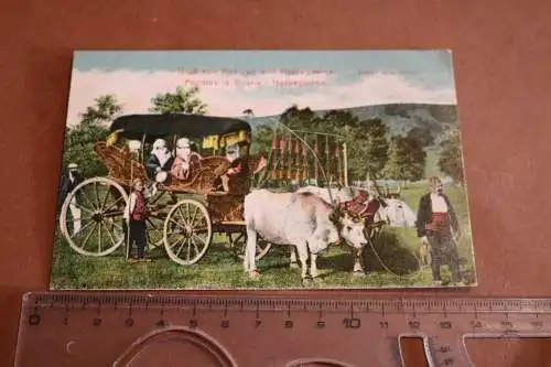 tolle alte Karte - Gruss aus Bosnien und  Hercegovina 1910-20