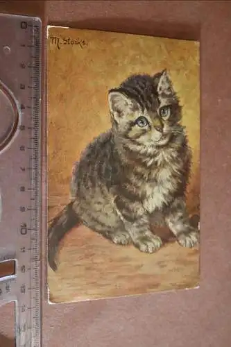 tolle alte Karte Künstlerkarte M Stocks - getigerte Katze 1909