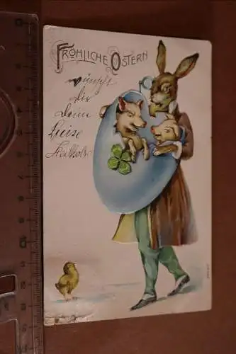 tolle alte Prägekarte - Fröhliche Ostern -Osterhase mit zwei Schweinen  1908