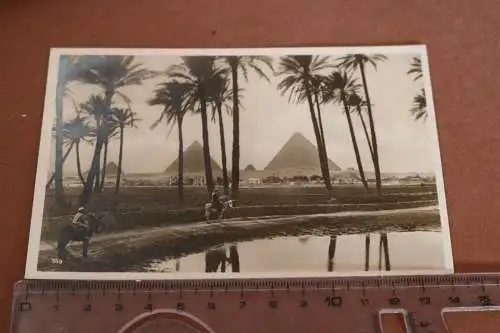 tolle alte Karte -  Kairo - Pyramiden von Gizeh 1933 Schiff Monte Rosa Stempel
