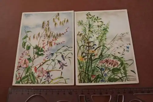 zwei  tolle alte Künstlerkarten - Blumen Motive - Marianne Schneegans