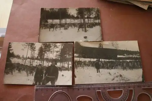 drei tolle alte Fotos - Lappland ? Rentierfarm ?? Lappe, Same ? 1920-30 ?