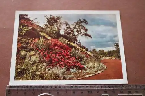 tolle alte Karte - Ansicht  Bundesgartenschau Kassel 1955