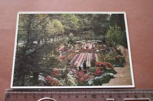 tolle alte Karte - Schaugarten der Firma Vogel-Hartweg, Baden-Baden 1938 