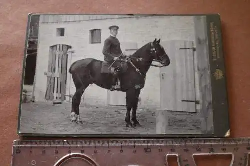 tolles altes Kabinettfoto - Reiter mit Pferd - Hannoveraner ?? Celle 1900-20