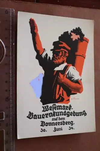  alte Künstlerkarte - Westmark-Bauernkundgebung 30.Juni 1934 Weinbauer Rarität