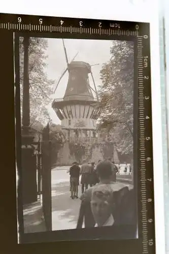 tolles altes Negativ - Windmühle Potsdam-Sanssouci  30-50er Jahre ?