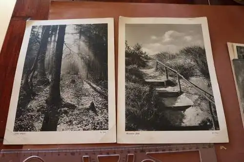 zwei alte Fotodrucke - W. Vogt - Einsamer Pfad und Heller Schein - Alter ??