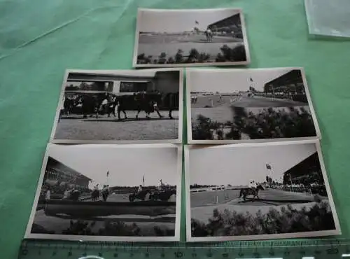 fünf tolle alte Fotos - Reitsport - Pferde, Veranstaltung - Ort ????