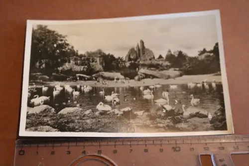 tolle alte Karte - Große Panorama  Carl Hagenbeck´s Tierpark - 30-50er Jahre ?