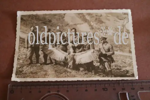 tolles altes Foto - Soldaten - Grenzschutz ?? Beamte ? erlegter Seeadler ?? 