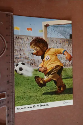 tolle alte Karte -  Igel Mecki  als Fussballspieler 