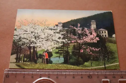 tolle alte Karte - Jugenheim an der Bergstraße Schloß Heiligenberg (2) 1913