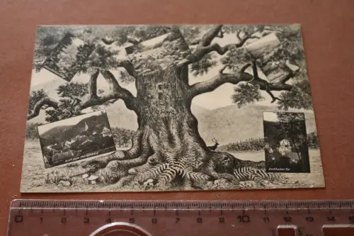 tolle alte Karte - Jugenheim an der Bergstraße (7) 1913