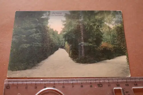 tolle alte Karte - Perleberg Im Stadtpark 1918