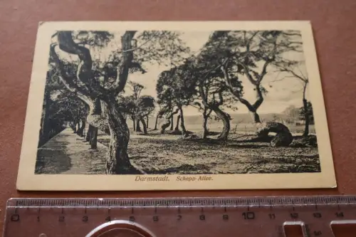 tolle alte Karte - Darmstadt Schepp-Allee 1915