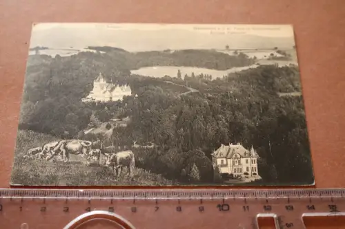 tolle alte Karte - Bensheim Partie Schönbergertal Schloss Falkenhof  1915