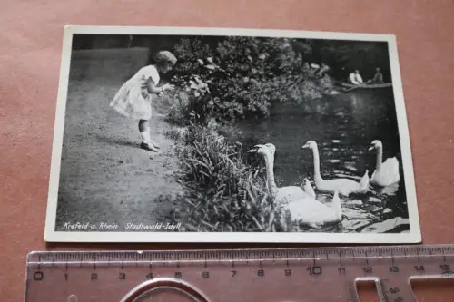 tolle alte Karte - Krefeld a. Rh. Stadtwald-Idyll   30-50er Jahre ?