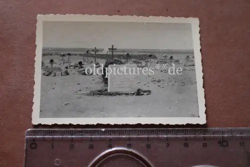 altes Foto - Soldatenfriedhof - Deutsches Afrika Korps  5. Le. Div.mot. - 1941 