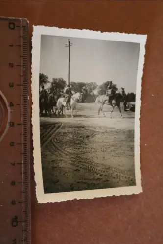 tolles altes Foto Kavallerie ? Regiment - Kesselpauker voran 