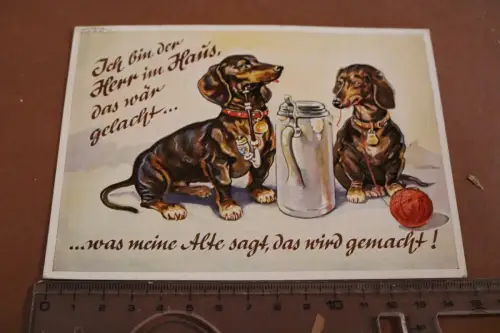 tolle alte Künstlerkarte Karikaturen Hund Dackel mit Spruch 1955