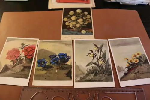 fünf tolle alte Karten - Pflanzenmotive von O. Schultz u. E.Zeyer Künstlerkarten