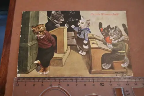 tolle alte  Künstlerkarte - Katzen in der Schule - Thiele - 1900