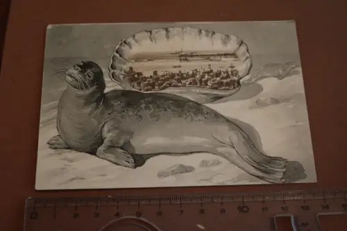 tolle alte  Karte Seehund - Hafenanleger Nordseebad Norderney 1910
