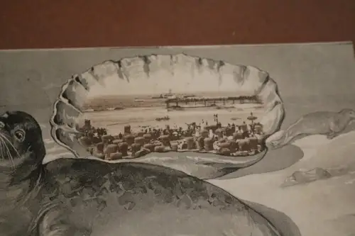 tolle alte  Karte Seehund - Hafenanleger Nordseebad Norderney 1910