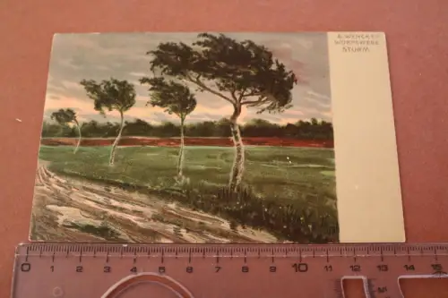 tolle alte  Künstlerkarte S. Wemcke - Worpswede Sturm 1910-20