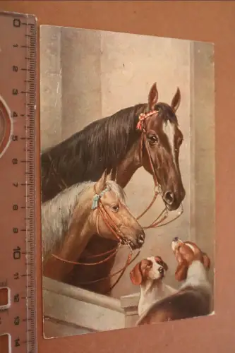 tolle alte  Künstlerkarte Pferde und Hunde - 1917