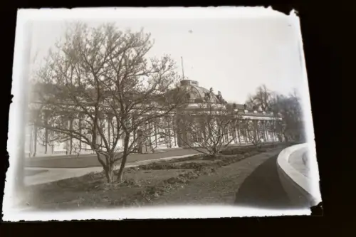 tolles altes Glasnegativ Schloss Sanssouci in Potsdam 1900-1920