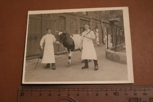 altes Foto - Metzger mit Axt und Kuh - 20-30er Jahre 