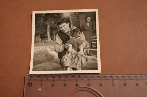  altes Foto  Frau mit verkleidetem Hund - 1954