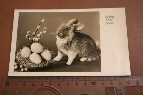 tolle alte Karte -  Ostergrüße Hase mit Eier - Wilhelmshaven - 1941 Feldpost 