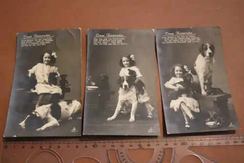 drei tolle alte Karten - Treue Kameraden - Mädchen mit Hunden 1912