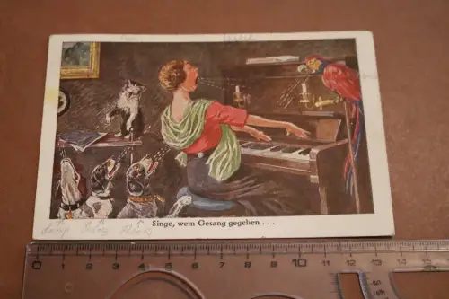 tolle alte Künstlerkarte - Karikatur - Singe, wem Gesang gegeben , Frau mit Hund