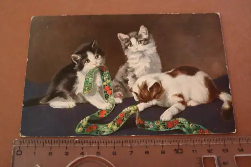 tolle alte Künstlerkarte - drei Katzen am  spielen 1927