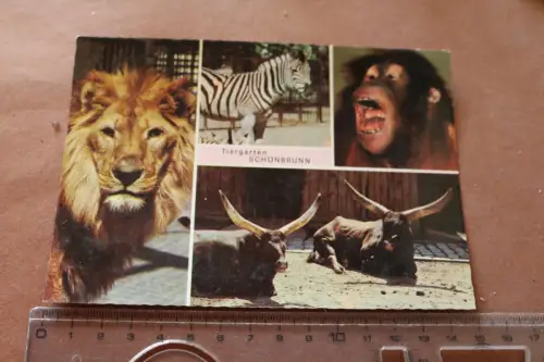 tolle alte Karte - Tiergarten Schönbrunn - 60-70er Jahre ?