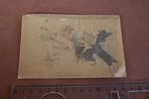 alte Karte mit Pergament - echtem Edelweiss - Alpengruss 1910-30 ??