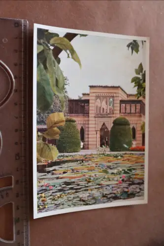 tolle alte Karte - Seerosenbecken  Wilhemina Stuttgart - Bad Cannstatt