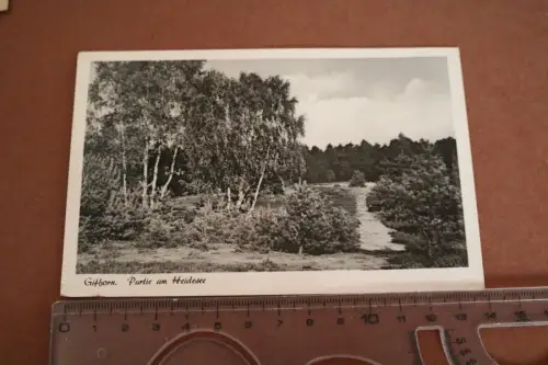 tolle alte Karte - Gifhorn - Partie am Heidesee 1956