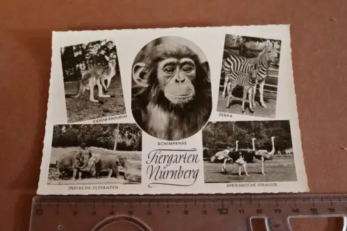 tolle alte Karte -  Tiergarten Nürnberg 1964