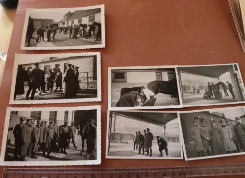 sieben alte Fotos eines Soldaten Offiziere - Pferdebeschauung ?? 