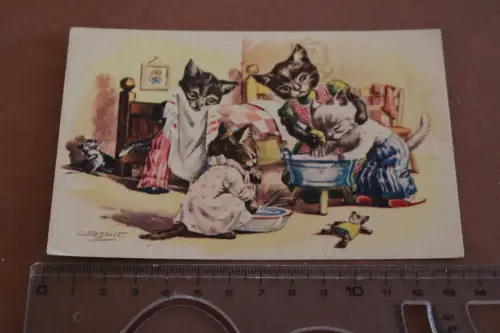 tolle alte Künstlerkarte Kätzchen bei der Abendwäsche 1910-20 ?