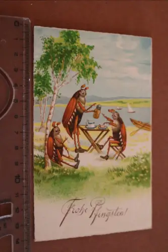 tolle alte Künstlerkarte Frohe Pfingsten - Maikäfer am See 1930